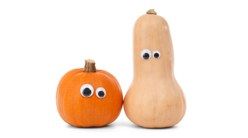 Pumpkin Friends - Public Domain Picture