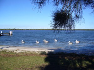 KKs @ Pumistone Passage (Tripcony Lane Jetty) | Caloundra | Queensland | Australia