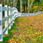 White fence