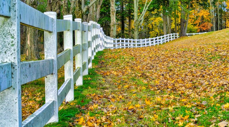 White fence